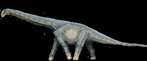 Sulaimanisaurus, Cretaceous
(Меловой период)