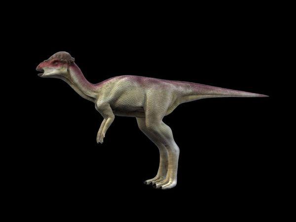 Taveirosaurus