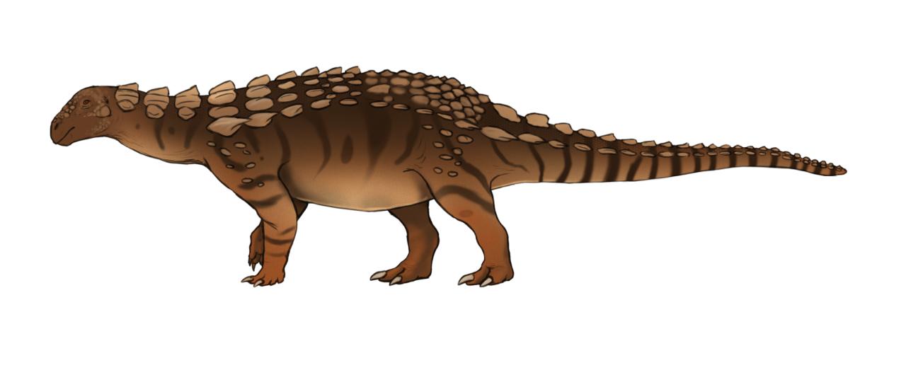 Taveirosaurus