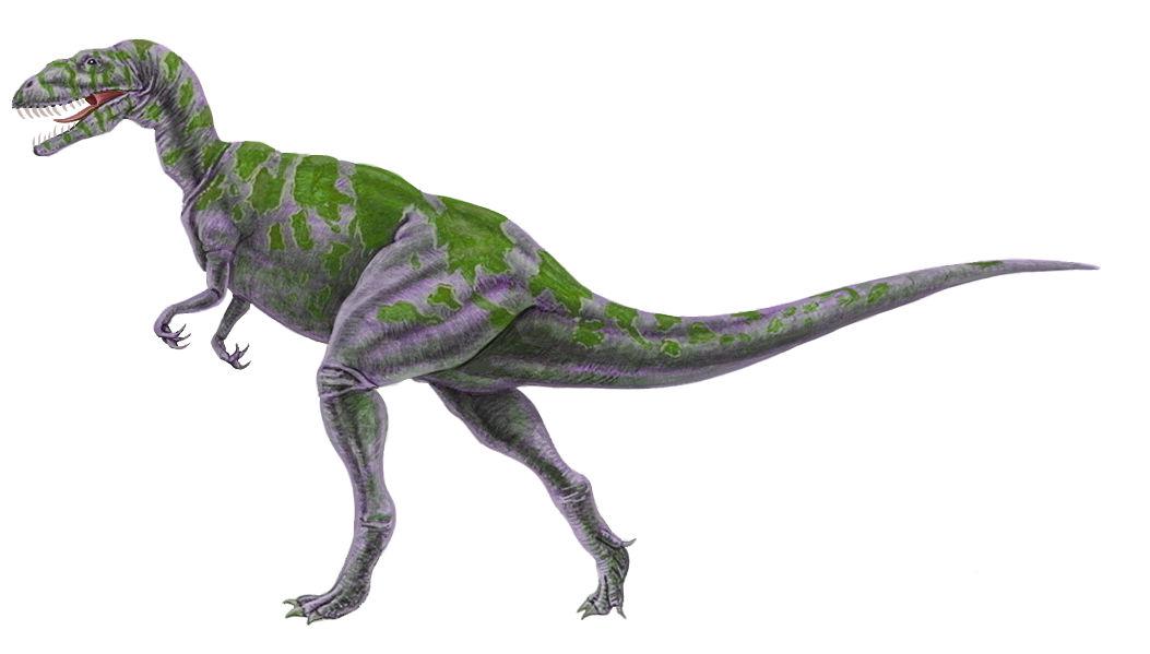 Teinurosaurus