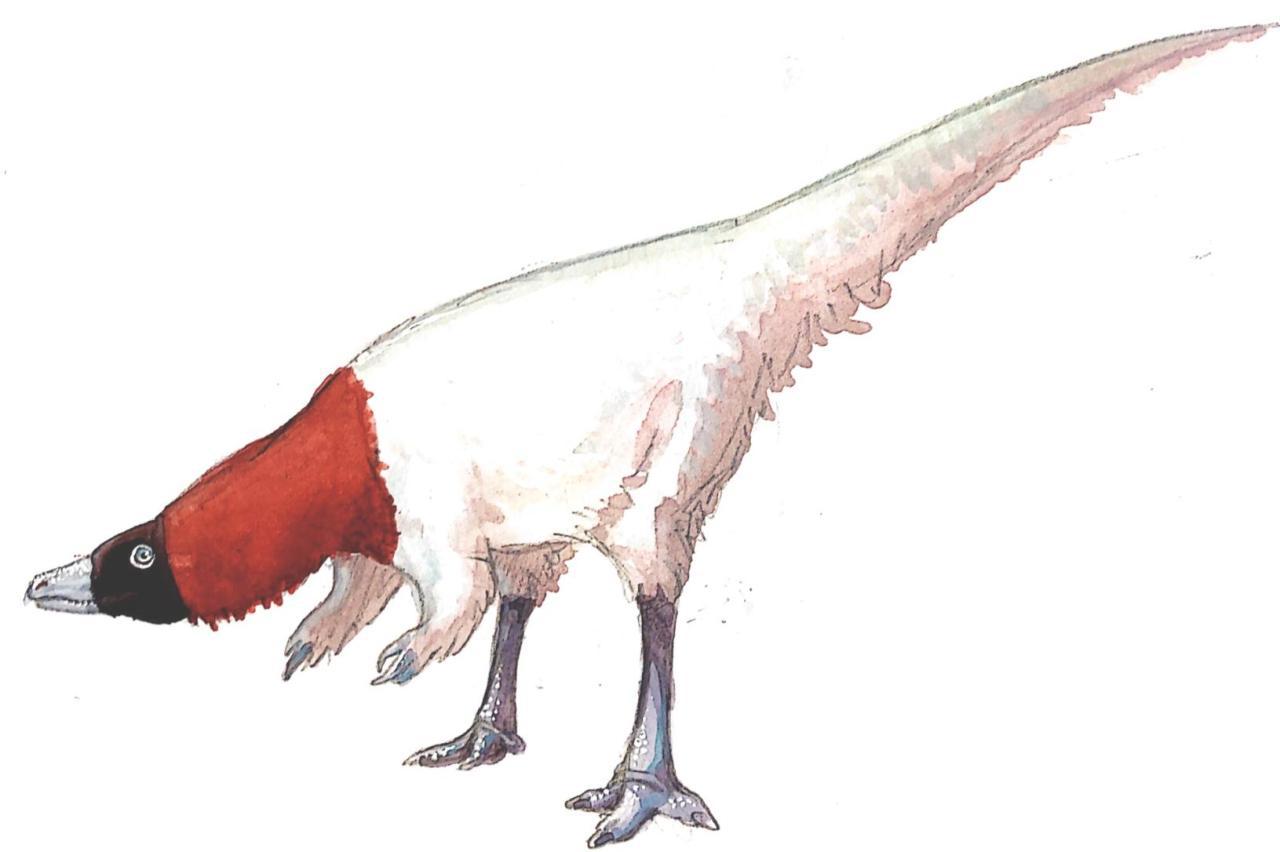 Teinurosaurus