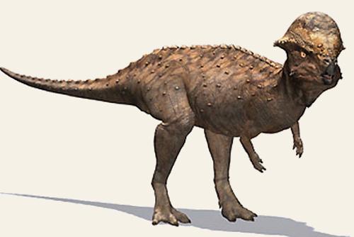 Texacephale, Cretaceous
(Меловой период)