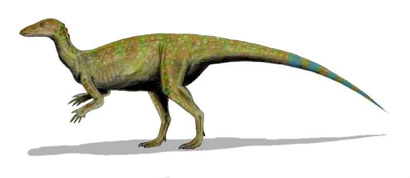 Thescelosaurus Pictures & Facts - The Dinosaur Database