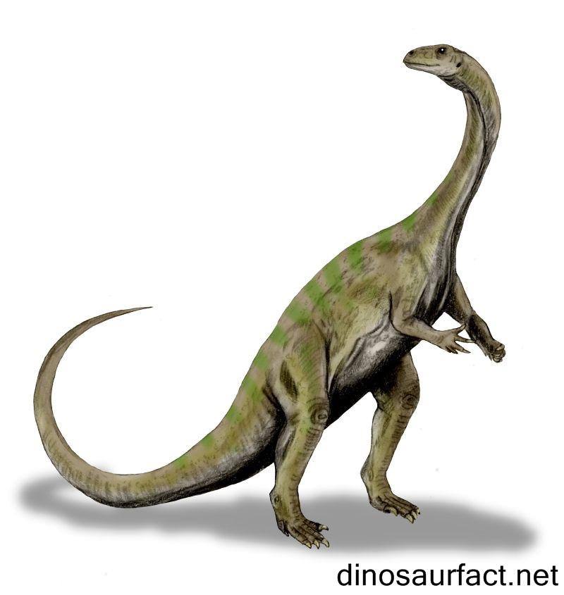 Thotobolosaurus