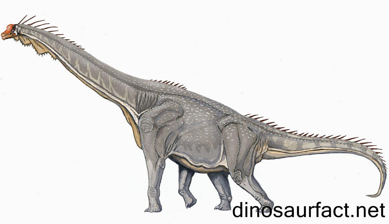 Thotobolosaurus