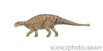 Tianchisaurus