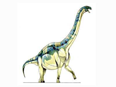Tienshanosaurus