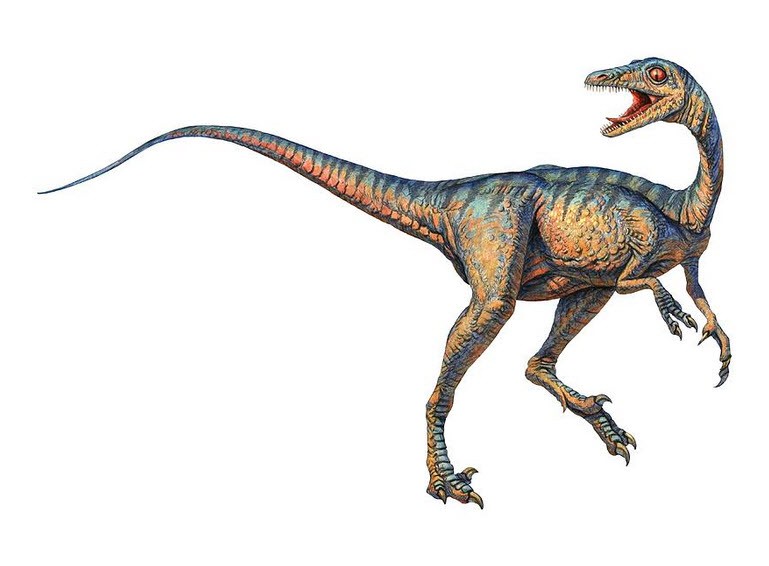 Troodon Pictures & Facts - The Dinosaur Database