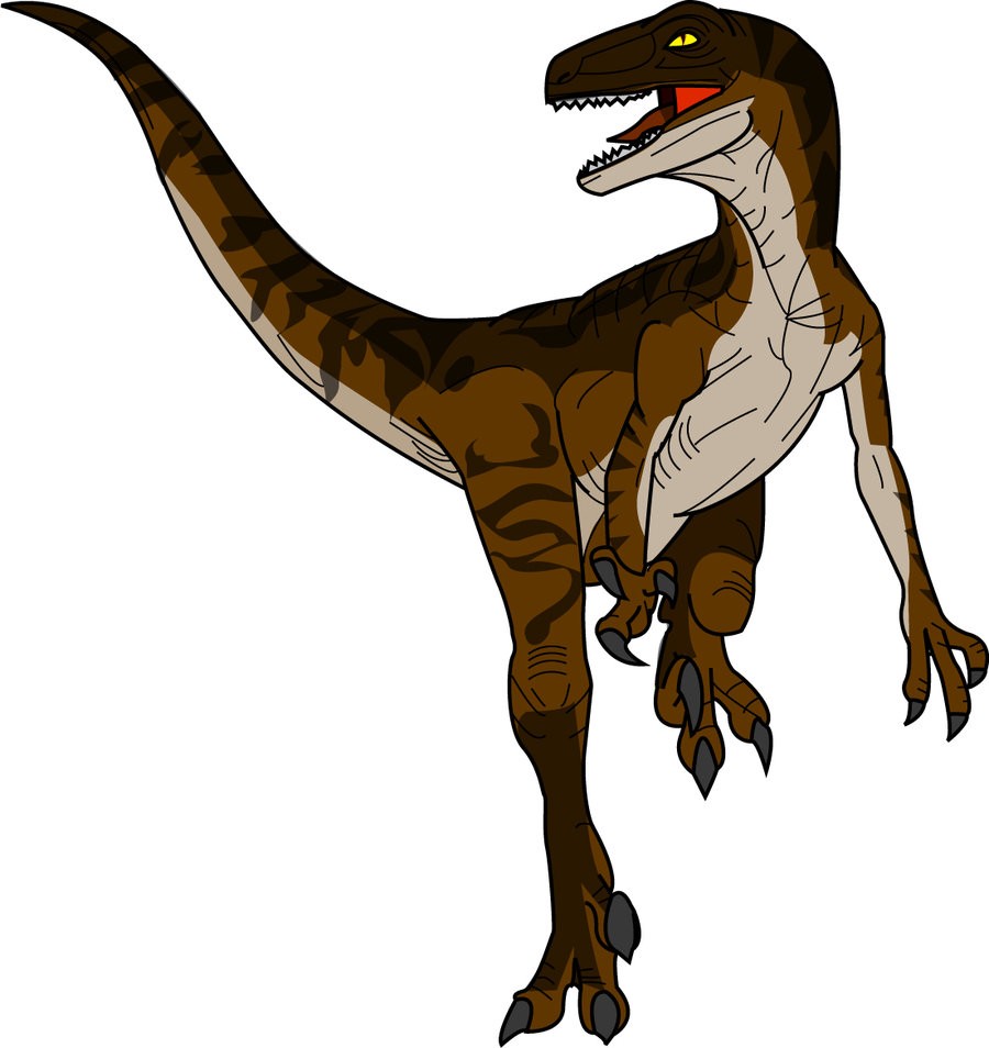 Velociraptor Pictures & Facts The Dinosaur Database.