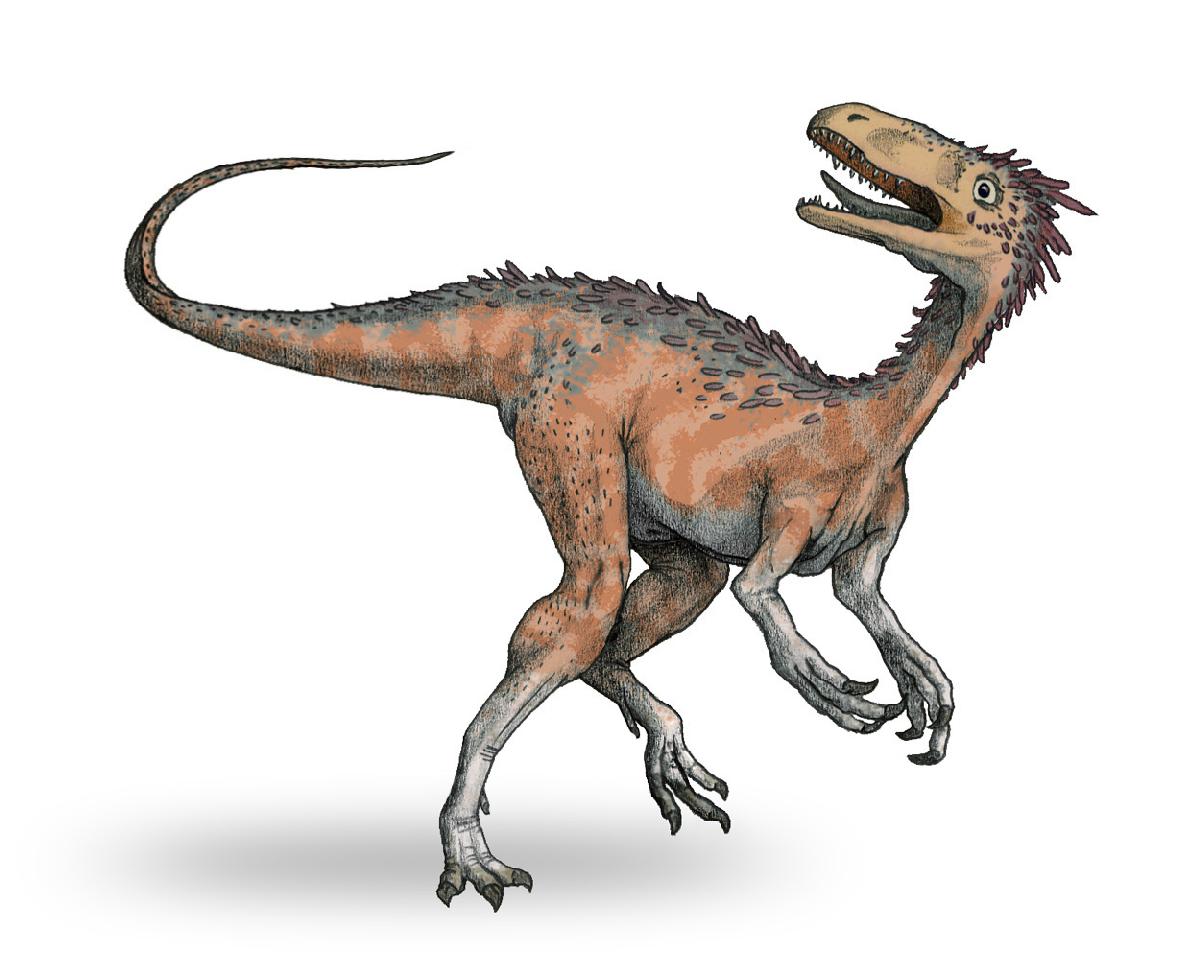 Vitakrisaurus, Cretaceous
(Меловой период)
