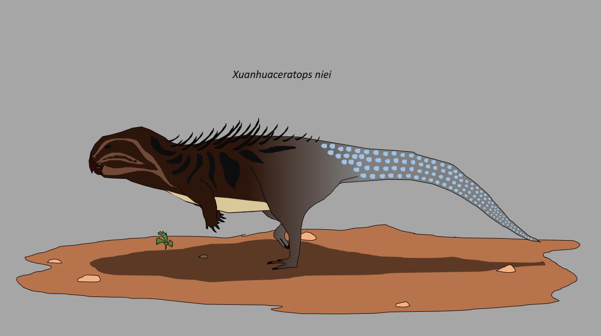 Xuanhuaceratops