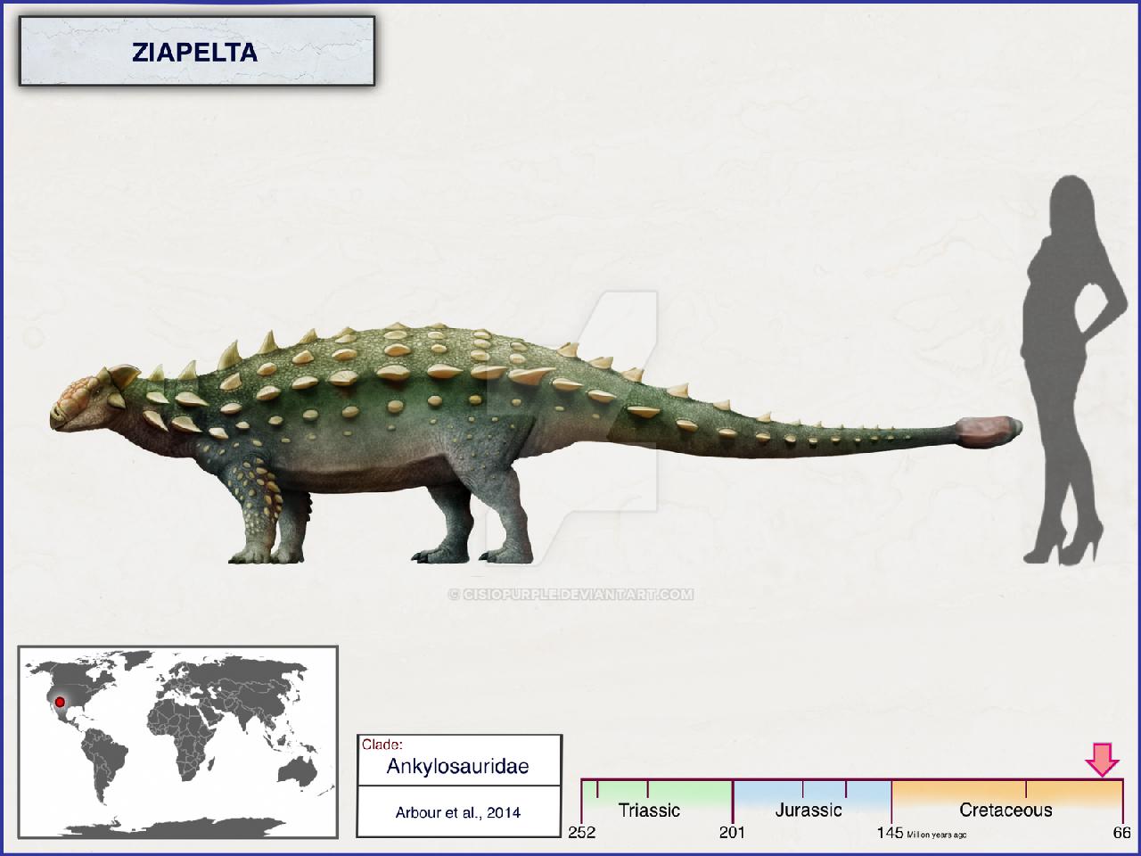 Ziapelta, Cretaceous
(Меловой период)