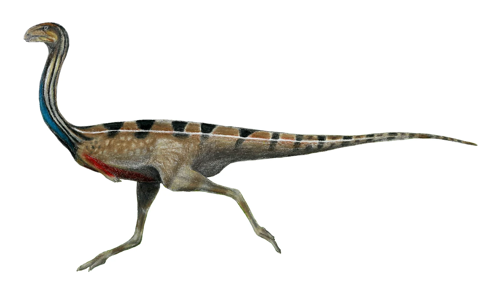Kiyacursor