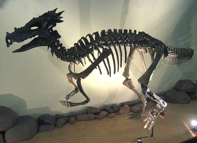 Dracorex Pictures & Facts - The Dinosaur Database