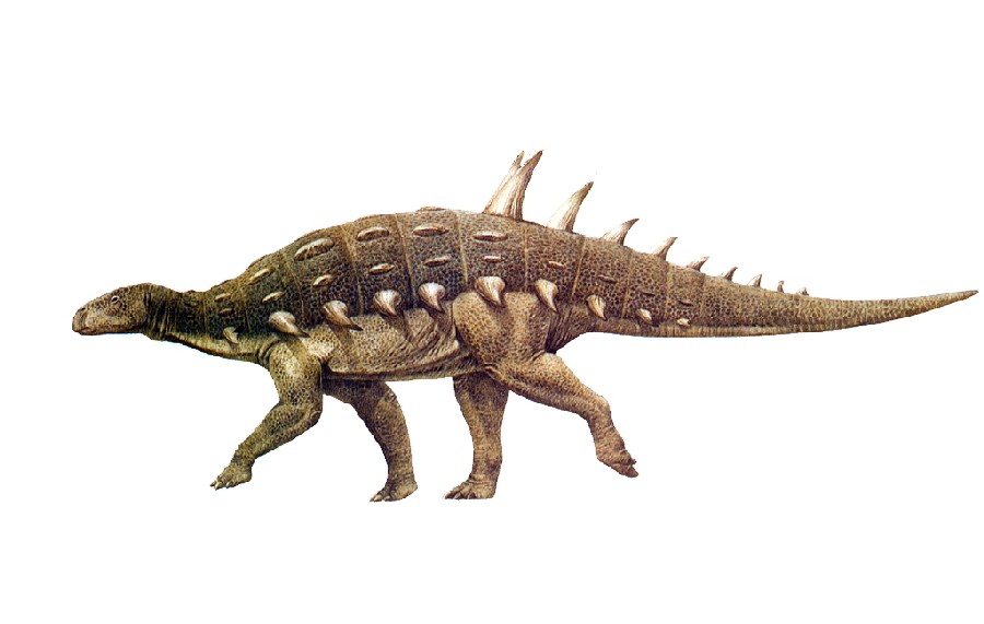 Hylaeosaurus Pictures & Facts - The Dinosaur Database