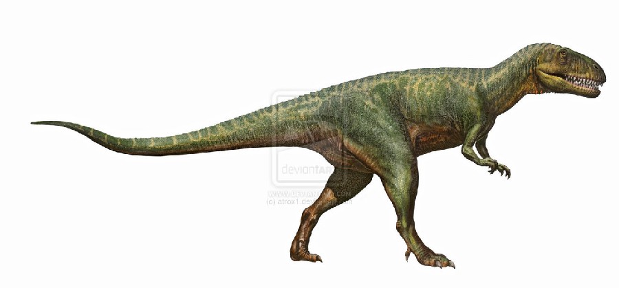 megalosaurus_bucklandi_by_atrox1-d2k1rre_6bb8.jpg