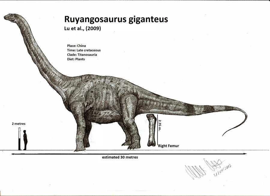 Long Neck Dinosaur Name