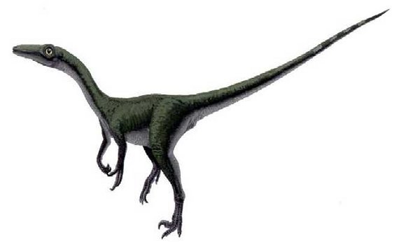 Saurornithoides 